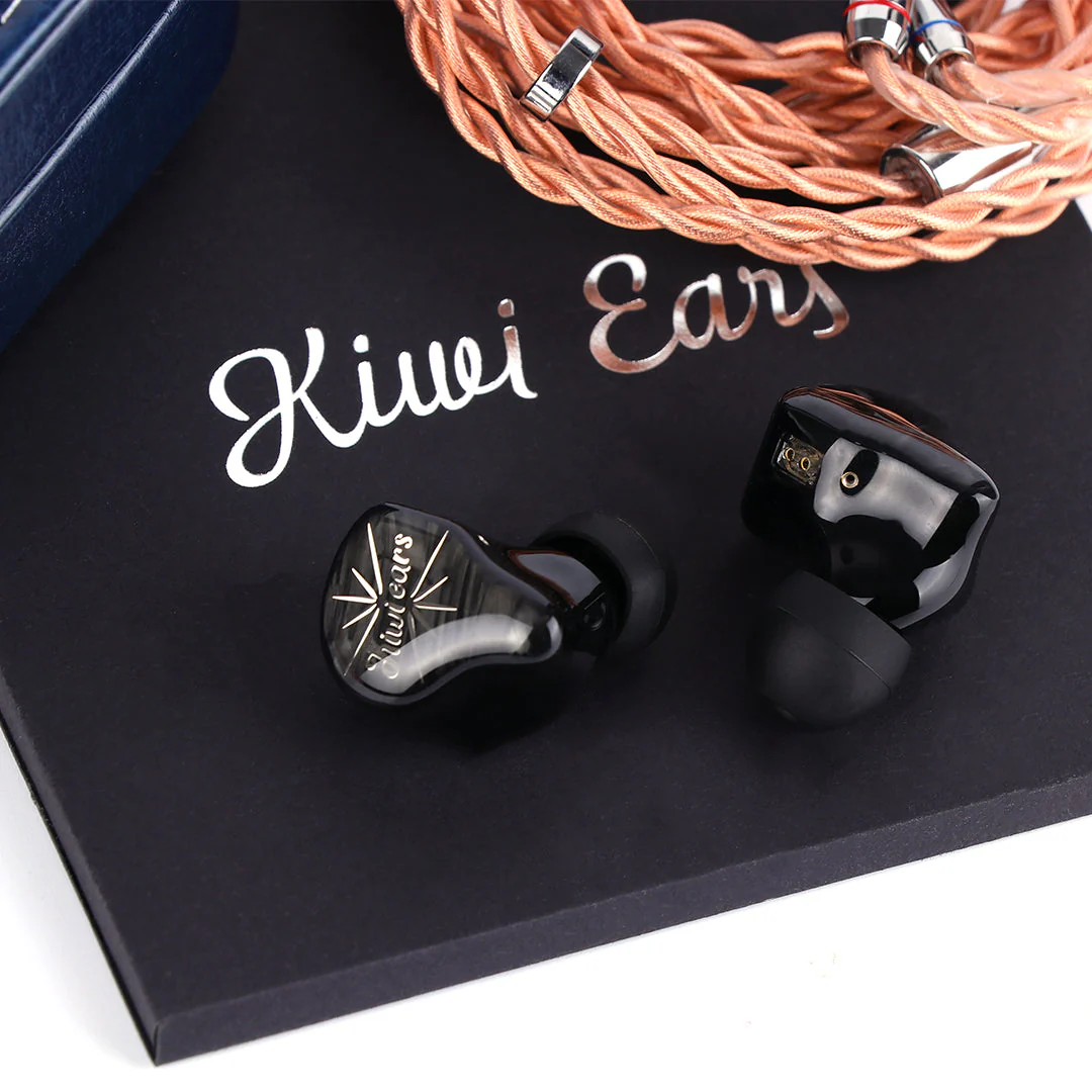 Kiwi Ears Orchestra - Image 6