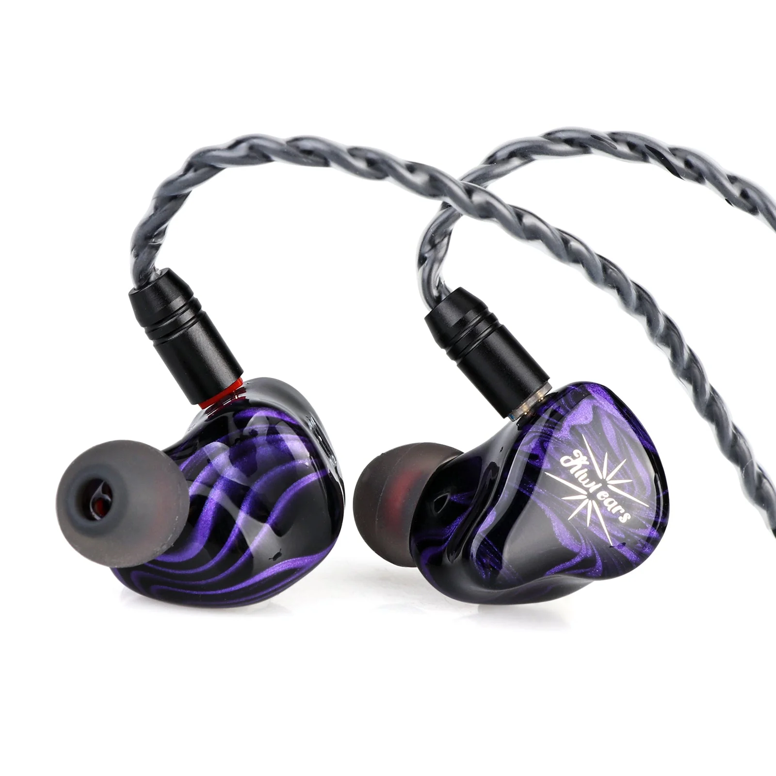 Kiwi Ears Quartet - Image 2