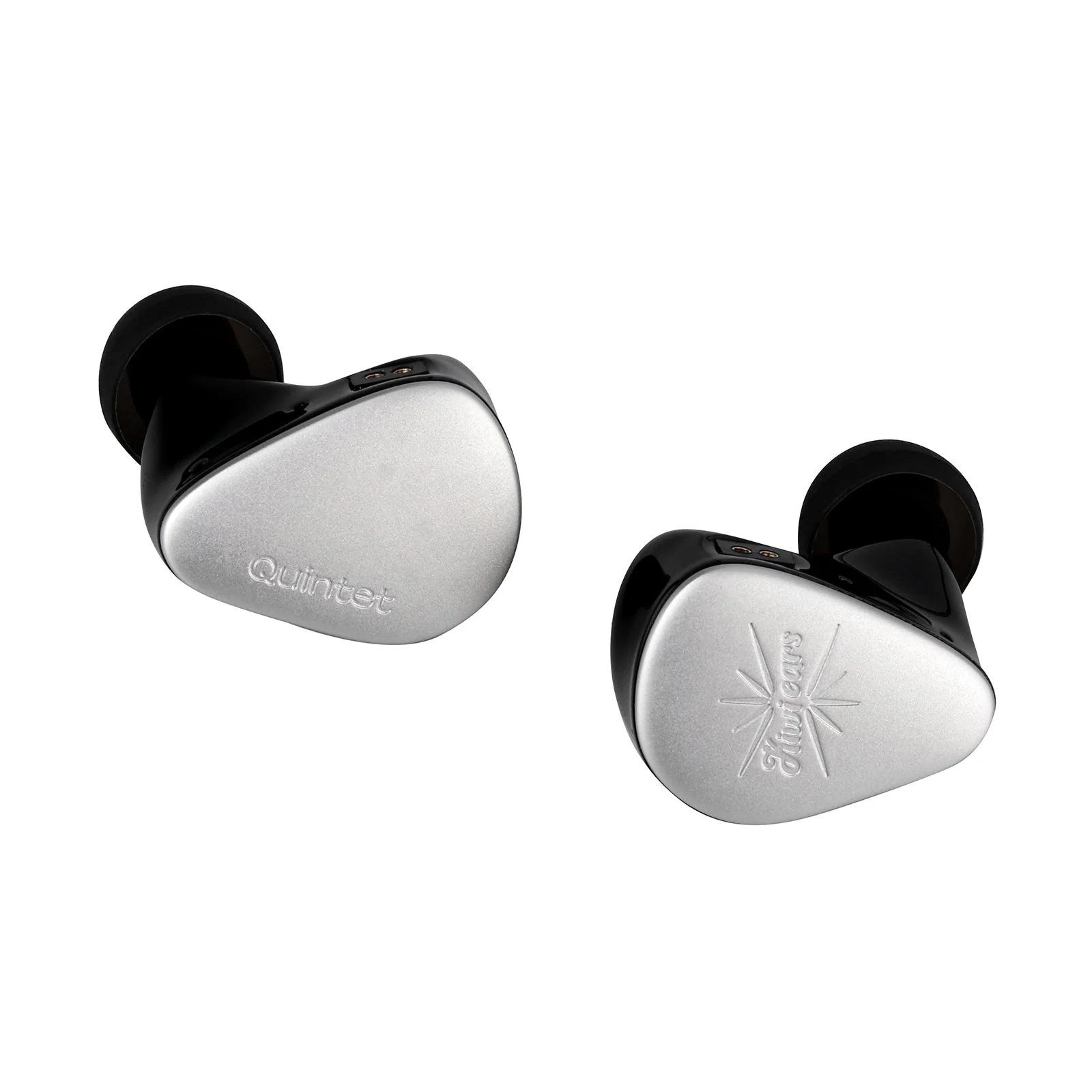 Kiwi Ears Quintet - Image 5
