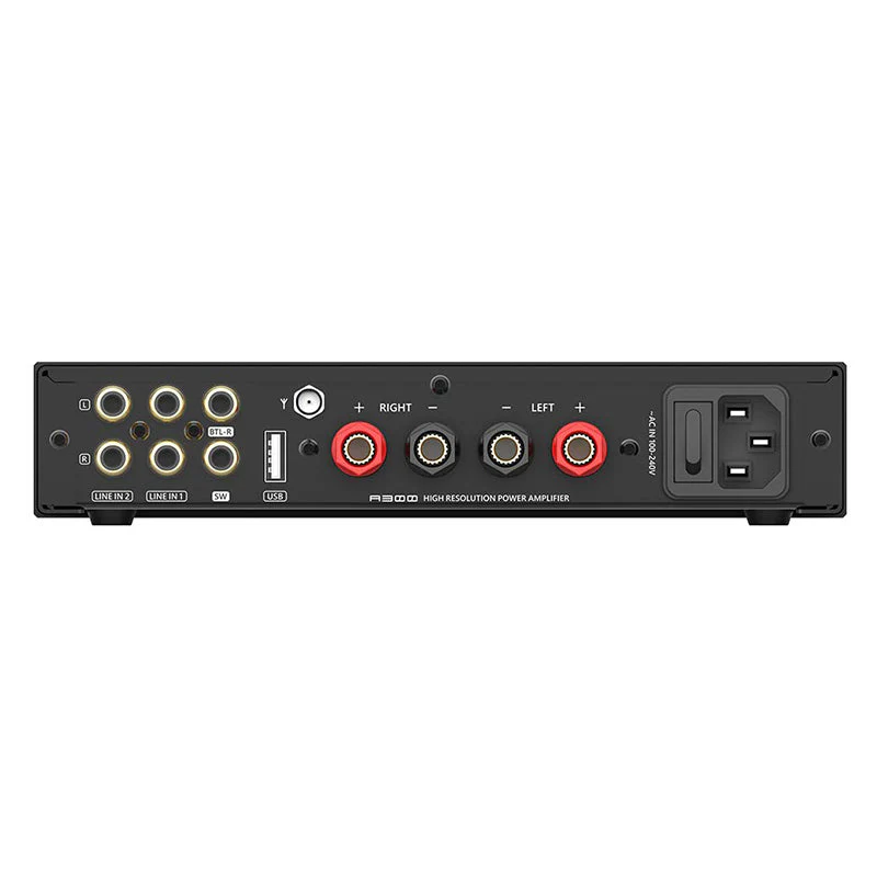 SMSL A300 - Image 5